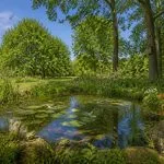 découvrez comment le parc des bugadières favorise la biodiversité locale grâce à ses espaces naturels protégés, ses initiatives écologiques et sa faune diversifiée.